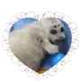 Эмодзи Seals