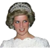 👑