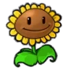 🌻