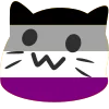 🐱