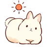 🐰