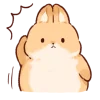🐰