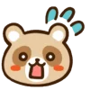 🦝