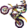 🏍