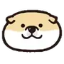 ⭐