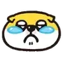 ⭐