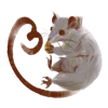 ?