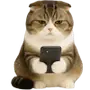 📱