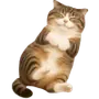 🫠