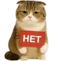 Эмодзи Шотландский кот