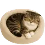 Эмодзи Шотландский кот