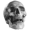 🗿