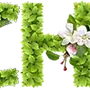 Эмодзи Сезоны