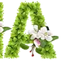 Эмодзи Сезоны