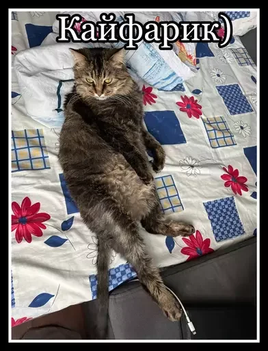 🤭