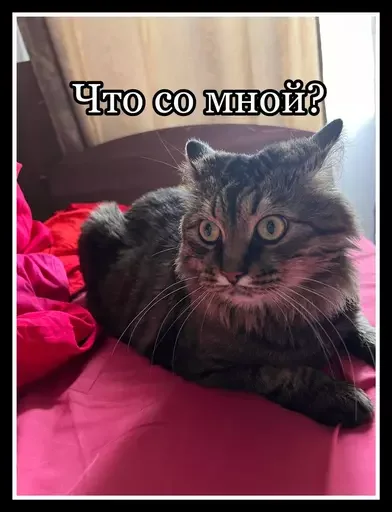 Эмодзи Semen