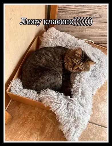 Эмодзи Semen