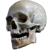 Эмодзи Skully Mood