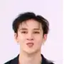 Эмодзи Stray Kids