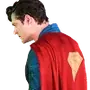 🦸‍♂️