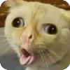 〰️