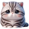 ?
