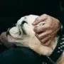 🫥