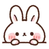 🐰