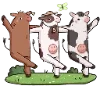 ?