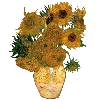 🌻