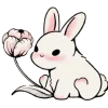 🐰