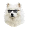 😎