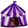 🎪