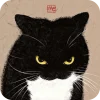 🐱