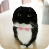 Эмодзи Uni Cat