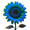 🌻