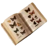 Эмодзи AESTH:BROWN