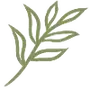 🌿