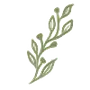 🌿