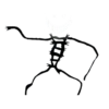 😈
