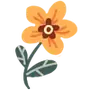 🌼