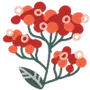 🌹