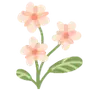 🌸