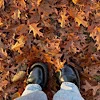 Эмодзи autumn atmosphere