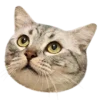 🙂