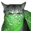🐱