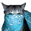 🐱