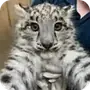 🐱