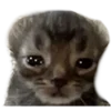 Эмодзи bbycEmoji