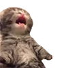 Эмодзи bbycEmoji
